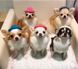 okpay虚拟币app