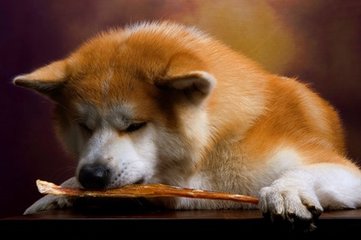 Web钱包app官网