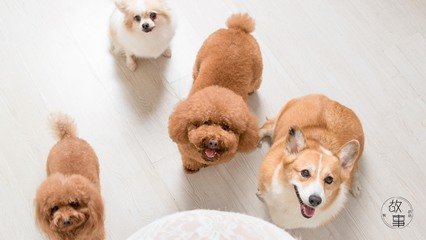usdt钱包下载