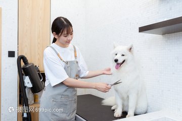 ok交易所登录网址