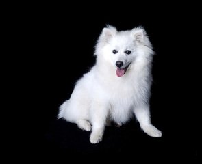 imToken官方版下载地址