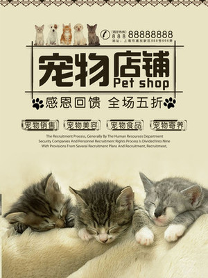 MOAC钱包app官网