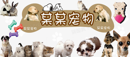 lost钱包app官网下载