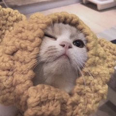 im钱包下载