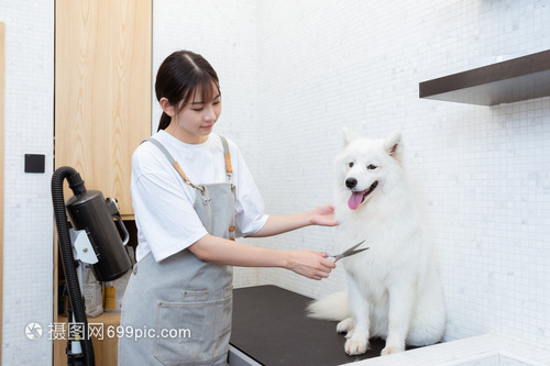metamask钱包交易费用