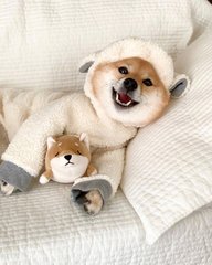 怎么提到tokenpocket钱包